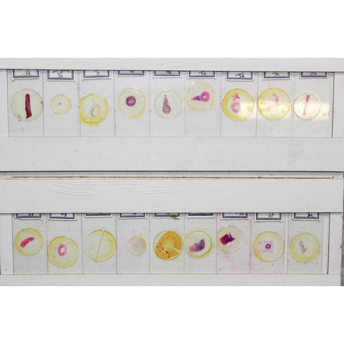 681 - Qty of vintage histology samples on microscope slides in box, 142 in total, with notebook