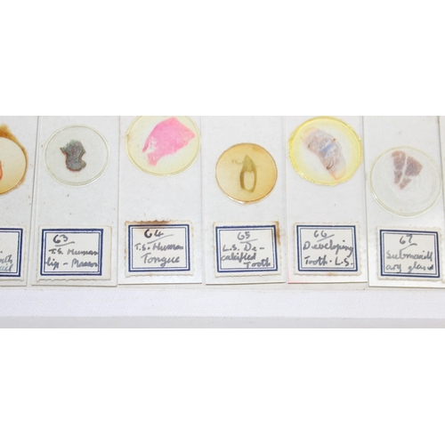 681 - Qty of vintage histology samples on microscope slides in box, 142 in total, with notebook