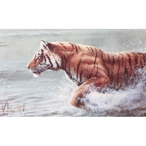 410 - Large framed print of a tiger by A.M Ellis