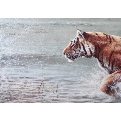 410 - Large framed print of a tiger by A.M Ellis