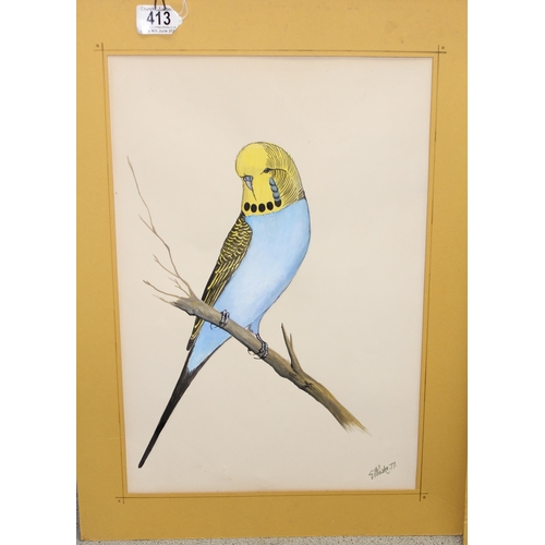 413 - Eric H Peake, 3 ornithological watercolour studies of birds, unframed, each approx 55cm x 40cm inc m... 