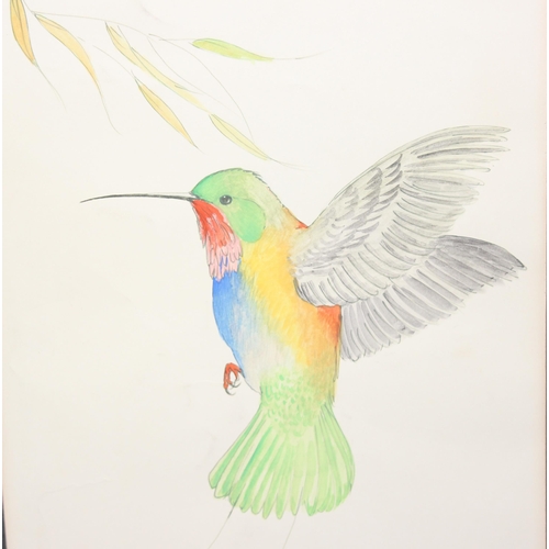 413 - Eric H Peake, 3 ornithological watercolour studies of birds, unframed, each approx 55cm x 40cm inc m... 