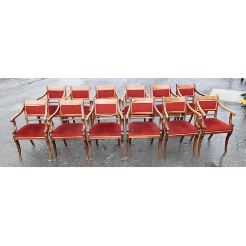 74 - A set of 12 Regency style carver armchairs, believed to be rosewood, with sabre legs and red velvet ... 