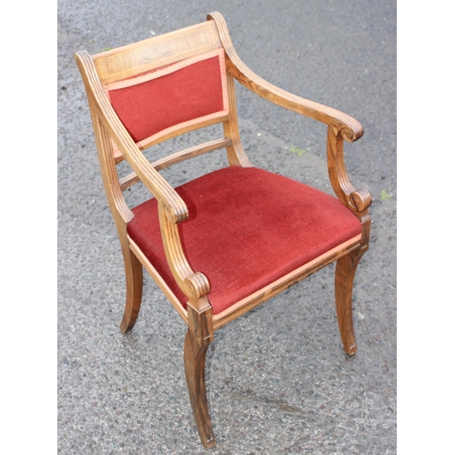 74 - A set of 12 Regency style carver armchairs, believed to be rosewood, with sabre legs and red velvet ... 