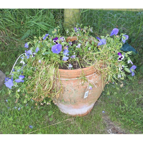 335 - A vintage terracotta garden pot with plants, approx 35cm in diameter