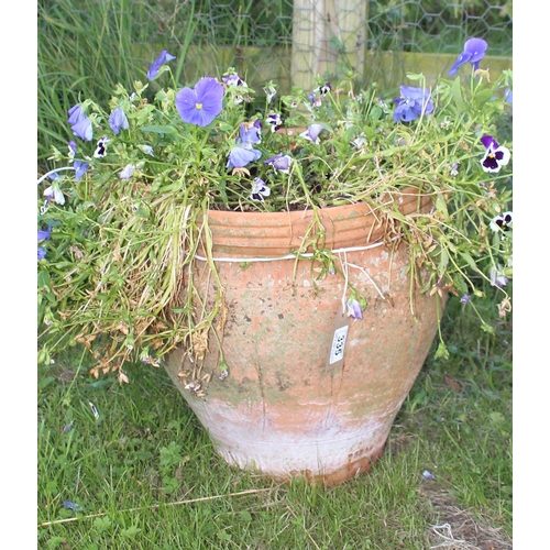 335 - A vintage terracotta garden pot with plants, approx 35cm in diameter