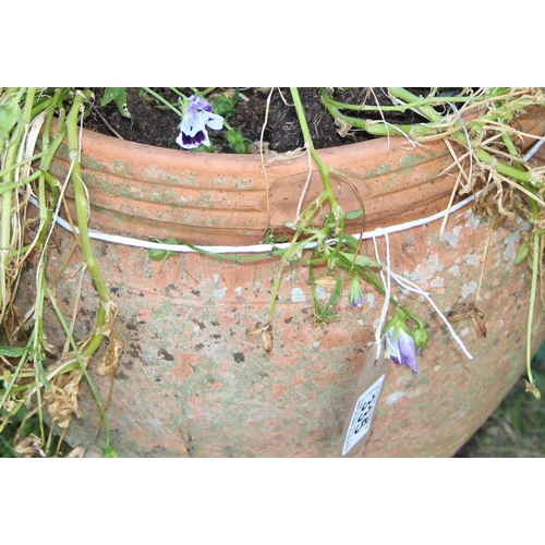 335 - A vintage terracotta garden pot with plants, approx 35cm in diameter