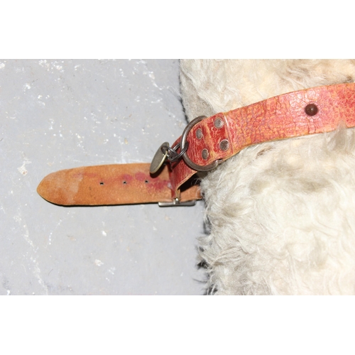 1507 - An early 20th century straw stuffed toy dog with a Tail Waggers Club collar tag, approx 73cm long