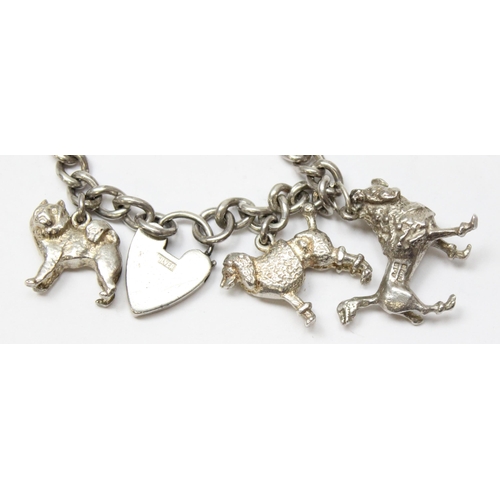 1100 - A vintage silver charm bracelet set with 6 cast silver charms of different breeds of dogs, all XRF t... 