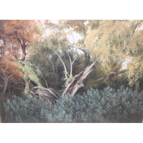 411A - Unsigned abstract oil on board of a woodland stream, London gallery stamp verso and a watercolour of... 