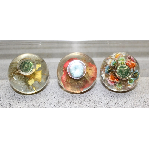 1706 - Qty of paperweights to include examples by Hafod Grange