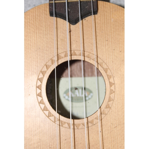 663 - Hi Spot acoustic guitar & Kala ukulele