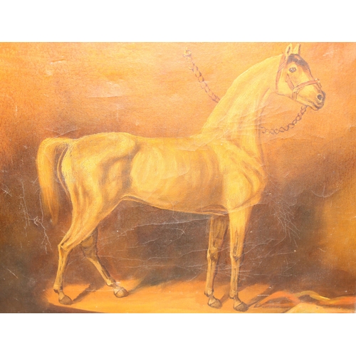 458 - Naïve antique oil on canvas of a bridled horse, approx. 46cm x 36cm