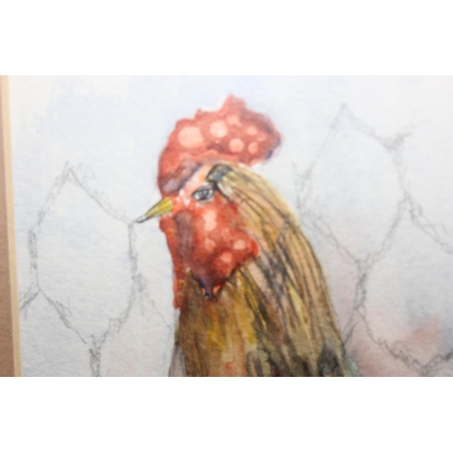 462 - Valerie Keating (XX), The Cockerel, pencil and watercolour, approx 37cm square inc frame