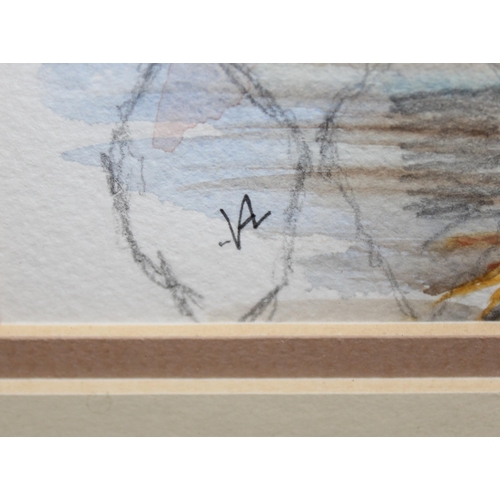 462 - Valerie Keating (XX), The Cockerel, pencil and watercolour, approx 37cm square inc frame