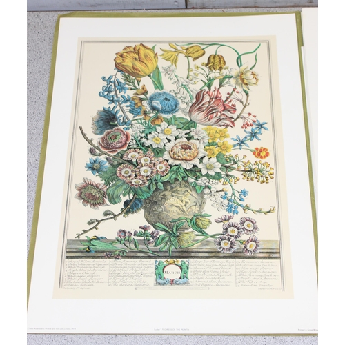 542 - After Robert Furber, 9 botanical prints in folio case from 