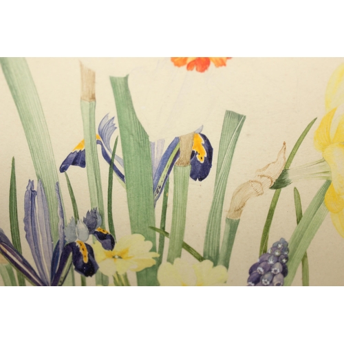 499E - Sheila Mannes-Abbott (XX), a watercolour of oval form showing a crop of spring flowers, signed and d... 