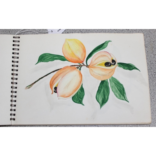 503 - Vintage amateur sketchbook with coloured drawings of still life flowers etc