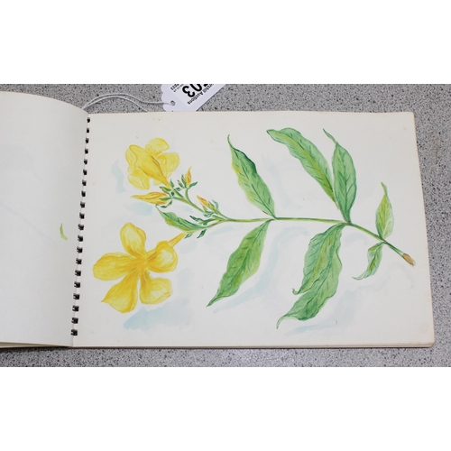 503 - Vintage amateur sketchbook with coloured drawings of still life flowers etc