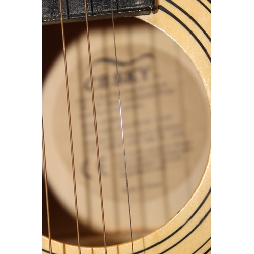 601 - CBSKY acoustic guitar with cover