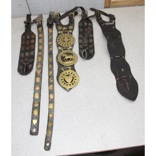 1798 - Qty of antique and later horse brasses and adornments, mostly on leather straps