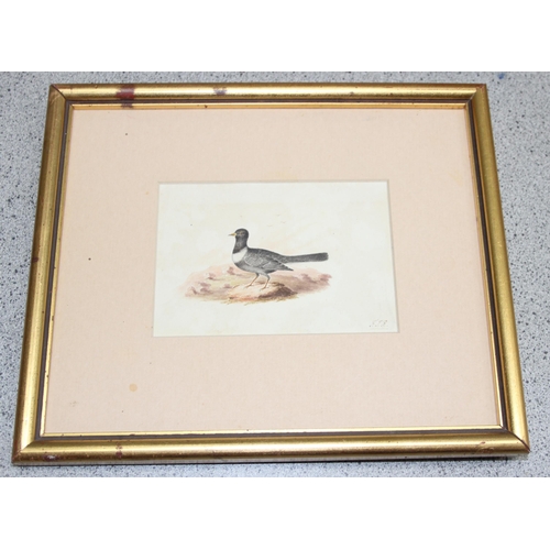 429 - Qty of original artworks and prints to incl antique coloured etchings, largest approx 75cm x 58cm