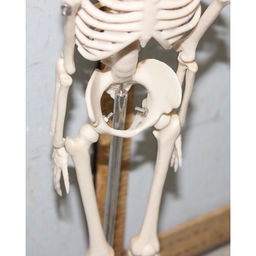 662 - Medical students small desk standing human skeleton model with articulated limbs and sprung jaw, app... 