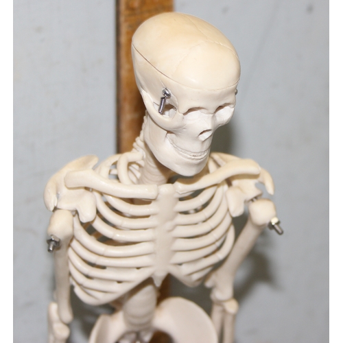 662 - Medical students small desk standing human skeleton model with articulated limbs and sprung jaw, app... 