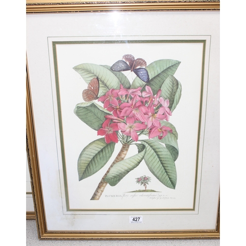 427 - 3 reproduction antique style botanical framed prints, approx 55cm x 66cm