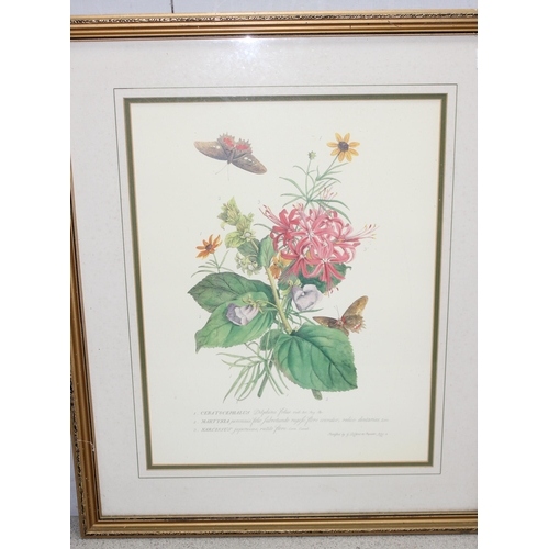 427 - 3 reproduction antique style botanical framed prints, approx 55cm x 66cm