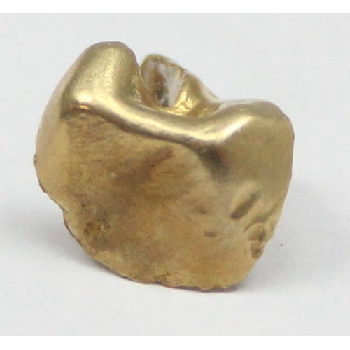 2002 - Gold tooth, XRF tests approx 18ct gold, approx 0.98g gross