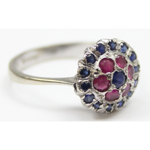 2144 - An 18ct white gold sapphire and ruby cluster ring, full hallmarks, approx size O, approx 3.31g gross