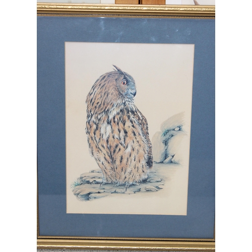 447 - Qty of ornithological framed prints, largest approx 47cm x 37cm