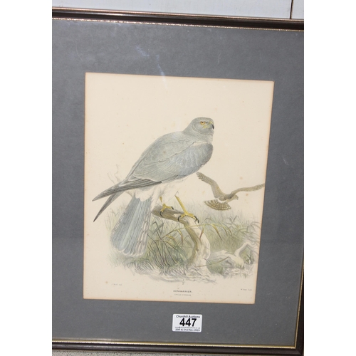 447 - Qty of ornithological framed prints, largest approx 47cm x 37cm