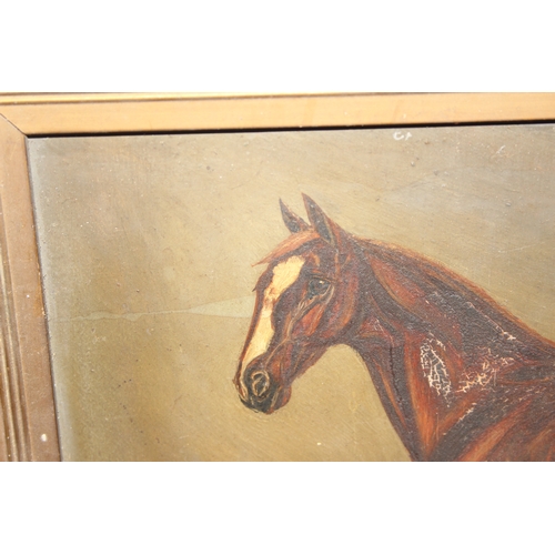 409 - Timothy. B. Whitby (British XIX-XX), oil on board study of a racehorse in stables, signed TBW, annot... 