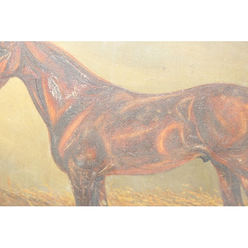 409 - Timothy. B. Whitby (British XIX-XX), oil on board study of a racehorse in stables, signed TBW, annot... 