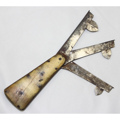 1453 - A 19th century horn handled blood letting fleam with 3 blades, each one indistinctly marked