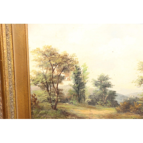 425 - T.H. Smith (XIX-XX), antique gilt framed oil on canvas of a lake a tree scene in decorative gilt fra... 