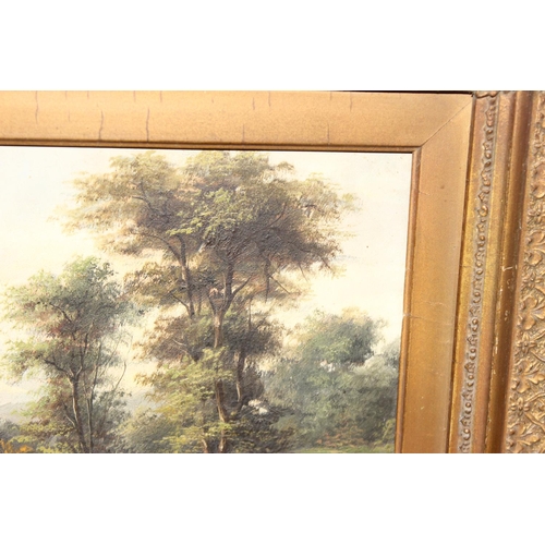 425 - T.H. Smith (XIX-XX), antique gilt framed oil on canvas of a lake a tree scene in decorative gilt fra... 