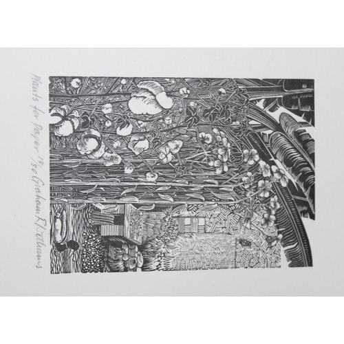 439 - 7 Graham Williams wood engravings, all of nature / animal scenes, the largest 20 x 23cm