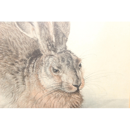 480 - After Albrecht Dürer, print of the original watercolour 'Young Hare' originally painted in 1502, app... 