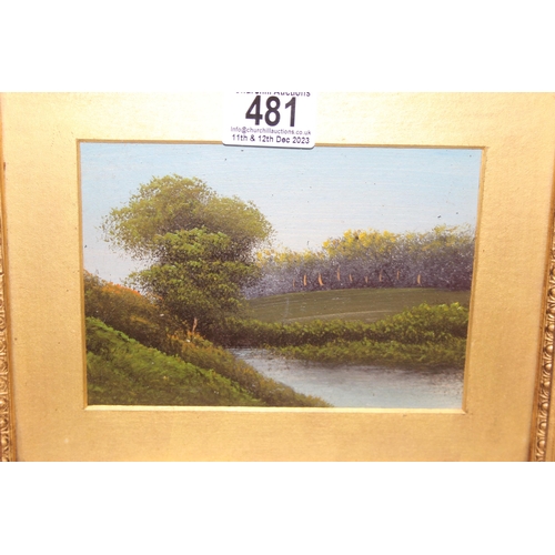 481 - Mix lot of pictures to incl small oil painting in gilt frame, 2 framed comic strip pictures, and a p... 