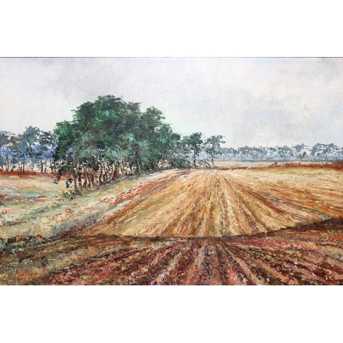 482 - Oil on board of a ploughed field signed John Broadwater, 1968, approx 84 x 52cm