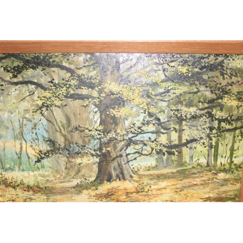 484 - Oil on board of a forest landscape scene, signed John Broadwater, 1967, approx 48 x 25cm