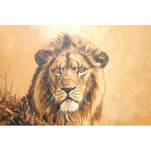 499K - Large oil on canvas of a male lion, signed Rowe. Approx 92cm x 61cm