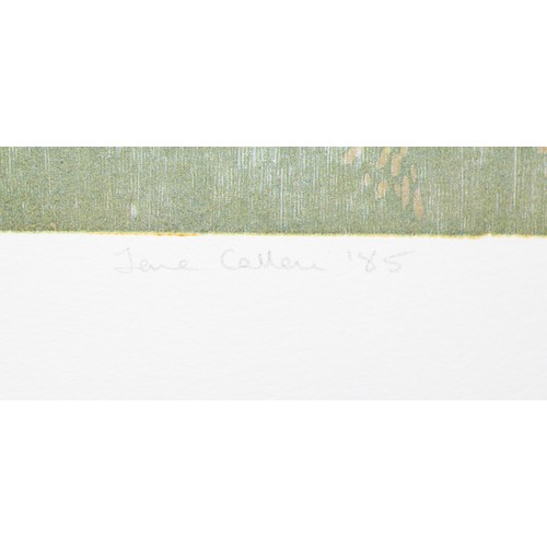 436 - Jane Callan (XX) Pair of limited edition screenprints, Wimbledon School of Art, signed in pencil dat... 