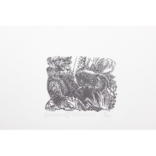 439 - 7 Graham Williams wood engravings, all of nature / animal scenes, the largest 20 x 23cm