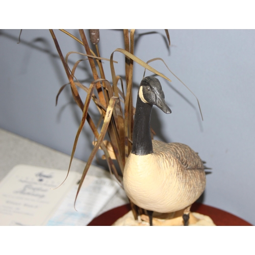 1629 - Border Fine Arts limited edition (186/750) sculpture 'Winter Watch' of a Canadian Goose in the reeds... 