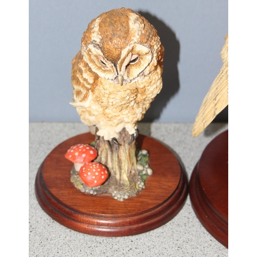 1639 - 2 x Border Fine Arts sculptures of owls to incl limited edition (35/1250) 'Barn Owl and Chick', 'A W... 