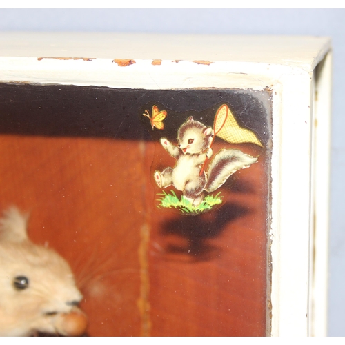 1646 - An antique taxidermy Red Squirrel in naturalistic setting and white painted case, approx 37cm square... 